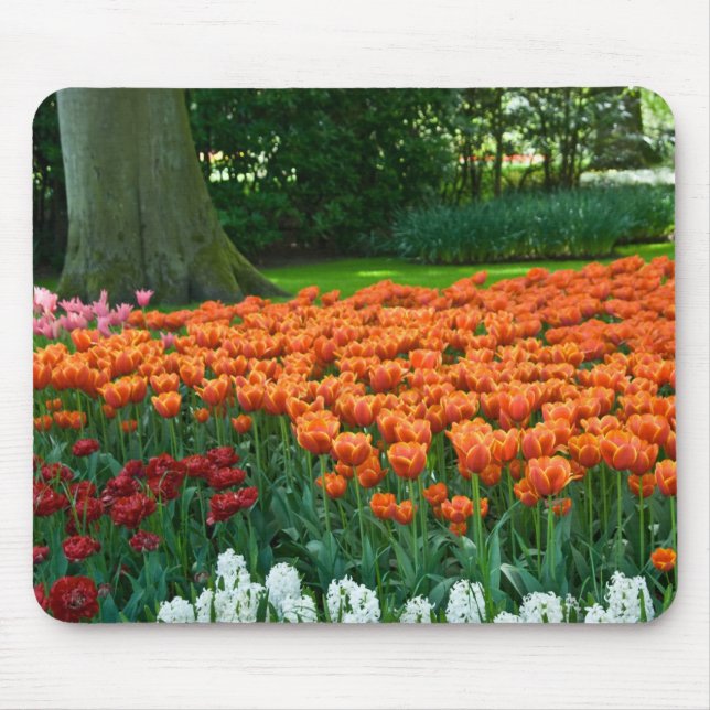 Jardim Mousepad da tulipa (Frente)