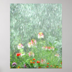 Jardim no poster da chuva