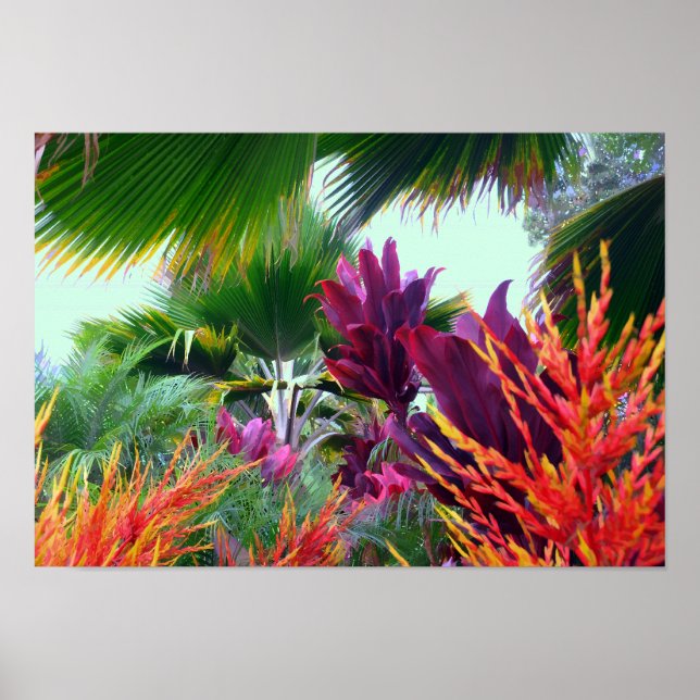 Jardim Tropical de Paraíso Impressão (Frente)