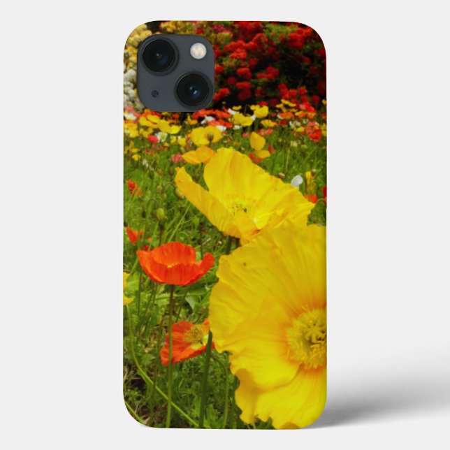 Jardins botânicos no Parque Queens (Verso)