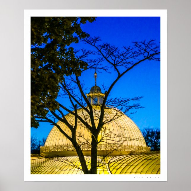 Jardins Botânicos, Poster Glasgow (Frente)