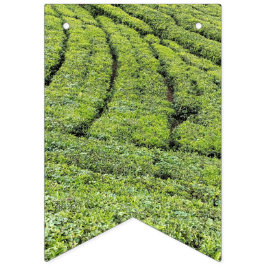 Jardins de chá de Munnar em bandeiras de festa