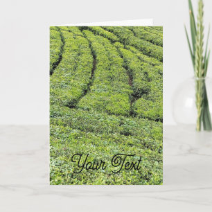 Jardins de chá de Munnar em cartão de saudação
