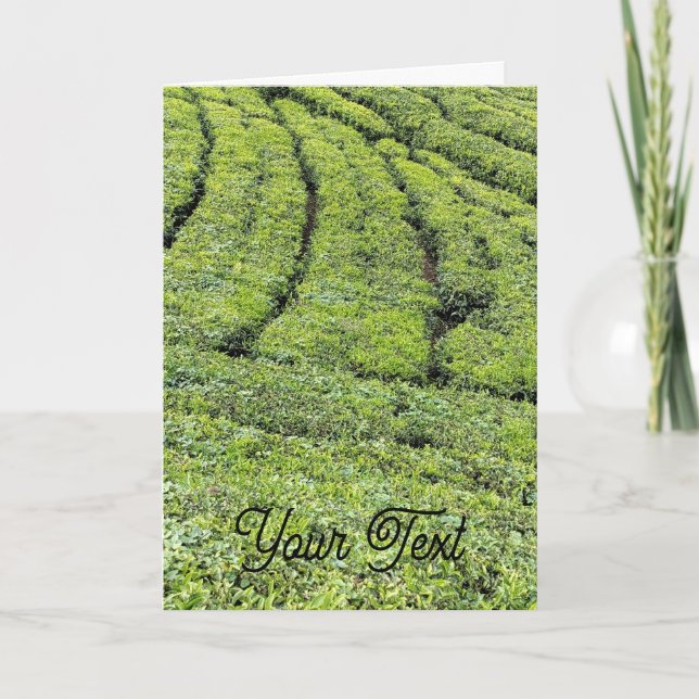 Jardins de chá de Munnar em cartão de saudação (Frente)