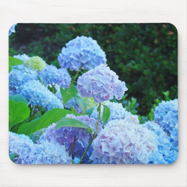 Jardins de Hortênsias Azuis mousepad Flores Florai (Frente)