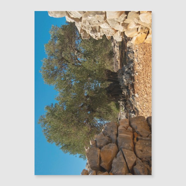 Jardins Olivais de Lun (Frente)