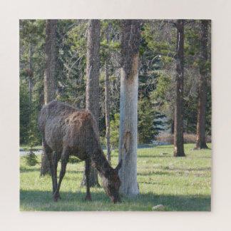 Jasper National Park, Alberta Canada Quebra-cabeça