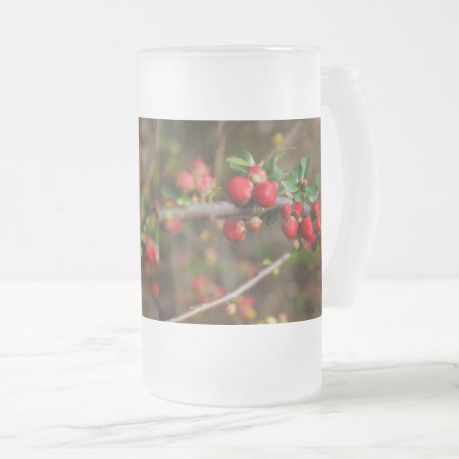 Jateado Caneca de cerveja de vidro fosco Red Spring Buds (Frente Esquerda)