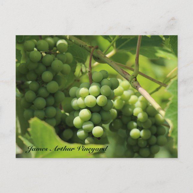 JAV Green. Rua. Cartão postal Croix 10 (Frente)