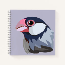 Java Sparrow — simplificado