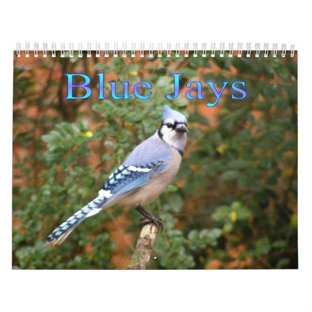 Jay azul calendário de 12 meses (Capa)