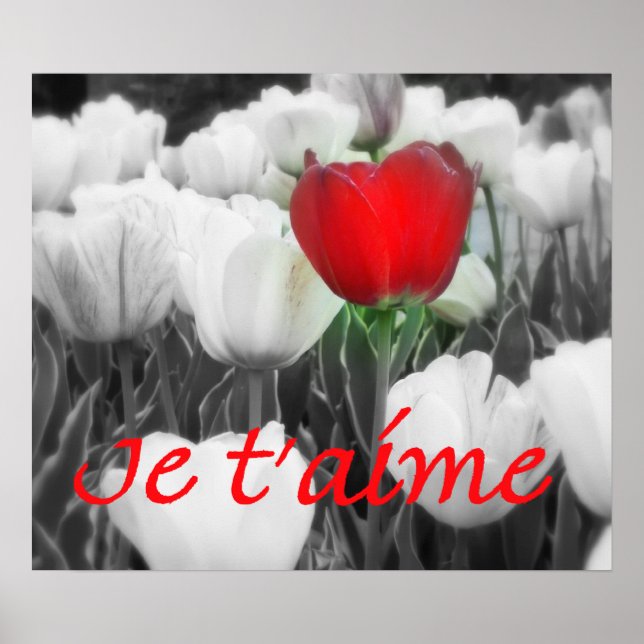 Je t'aime Red Tulip Impressão (Frente)
