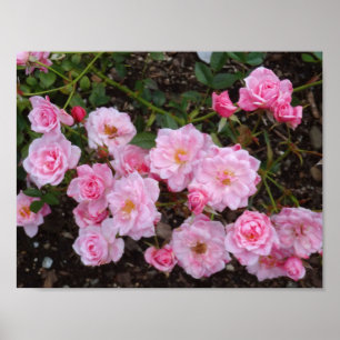 Jeanne LaJoie Rosa nº 1 Poster