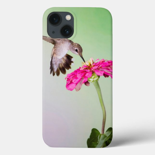 Jeff o Condado de Davis, Texas (Verso)