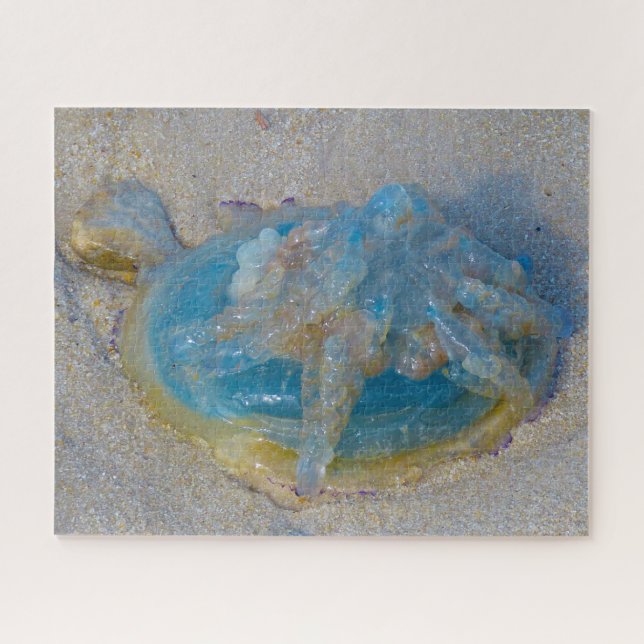 Jelly Fish Jigsee Quebra-cabeça (Horizontal)