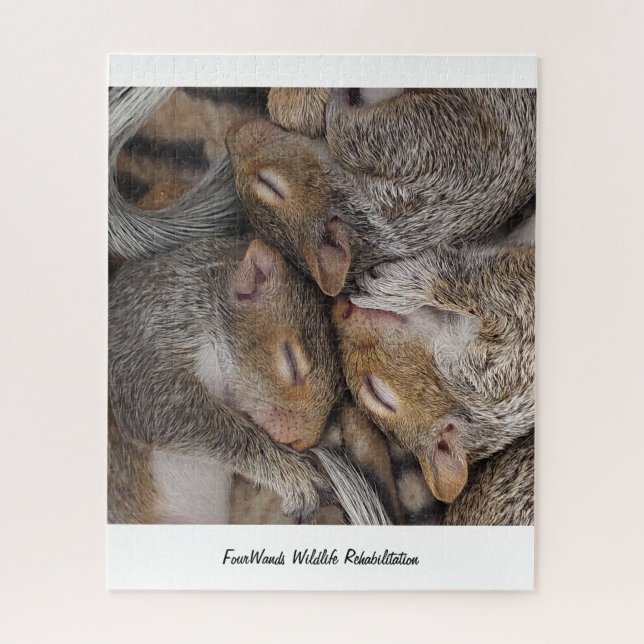 Jennifer, Sylvie e Holly Quebra-cabeça (Vertical)