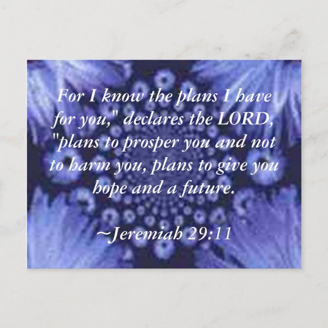 Jeremiah 29:11 Cartão de Posto Azul Daisy (Frente)