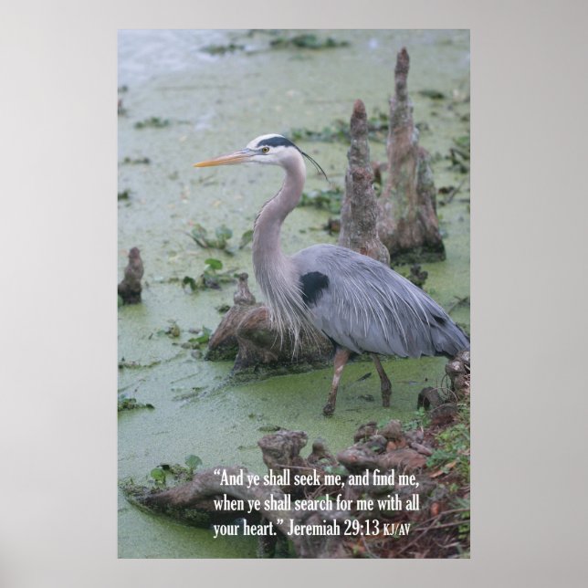 Jeremiah 29:13 Impressão de Escritura (Frente)