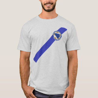 Jérsei patriótico do t-shirt de BiH - Ibisevic 9