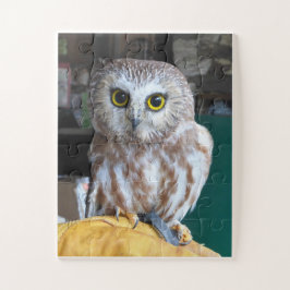 Jigsee Quebra-cabeça Owl