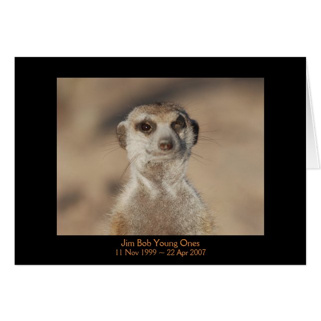 Jim Bob - cartão das legendas (Frente Horizontal)