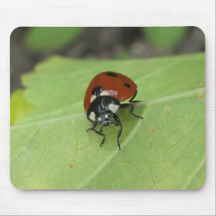 Joaninha amigável Mousepad