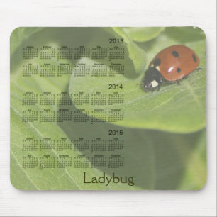 Joaninha calendário Mousepad de 3 anos 2013-2015