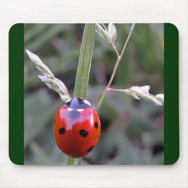 Joaninha Mousepad (Frente)