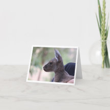 Joey Love - Cartão de Aniversário de crianças