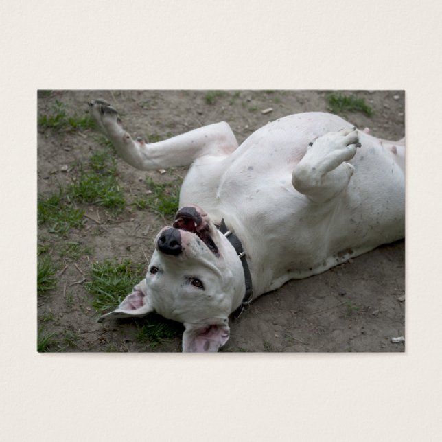 Jogando Dogo Argentino (Frente)