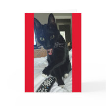 jogo convite remoto gato engraçado