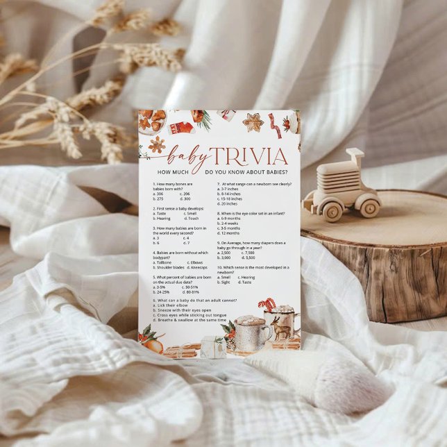 Jogo de Perguntas do Bebê de Inverno (Criador carregado)