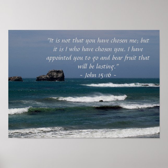 John 15:16 Poster (Frente)