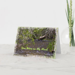 John 16:33 Cartão de encorajamento