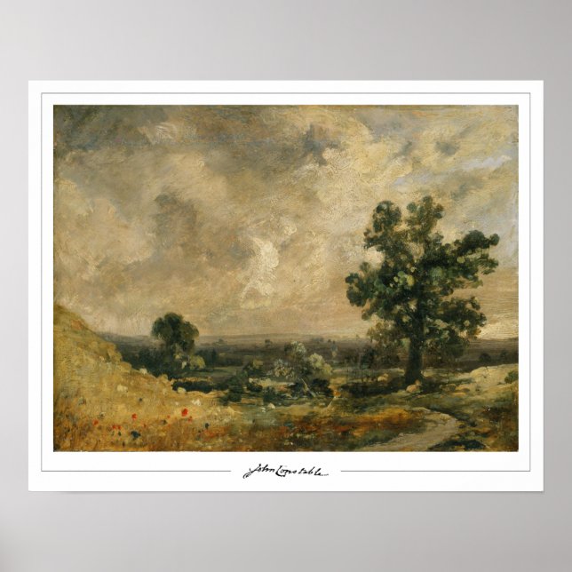 John Constable Zedign Art Poster nº 14 (Frente)