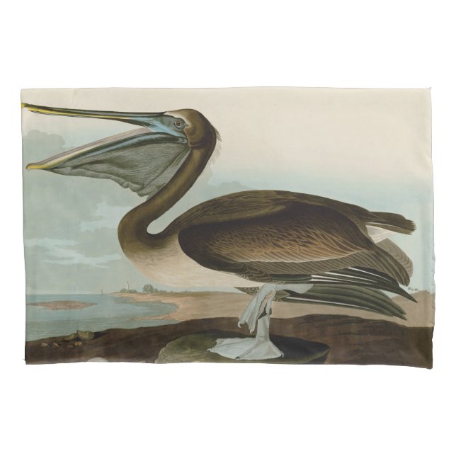 John James Audubon Brown Pelican Trabalho de arte  (Frente)