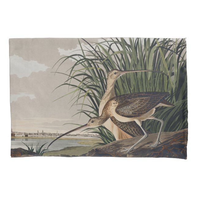 John James Audubon Long-Billed Curlew Bird (Frente)