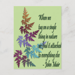 john muir - cartão postal