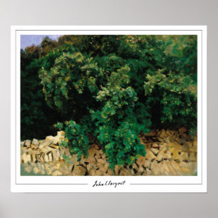 John Singer Sargent Zedign Art Poster nº 16