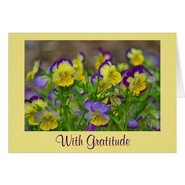 Johnny Jump Up Cartões de agradecimentos (Frente Horizontal)