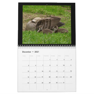 Joias do Havaí Calendário de 2021