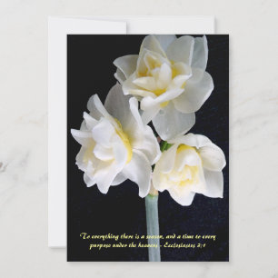 Jonquil Flower - Eclesiastes 3:1