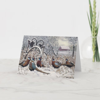 Joshua espia o cartão de nota