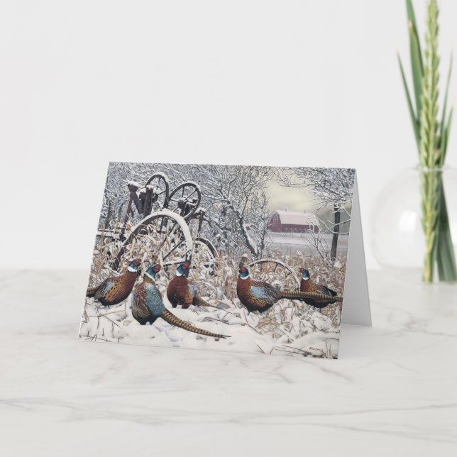 Joshua espia o cartão de nota (Frente)