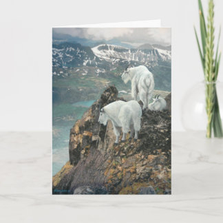 Joshua espia o cartão de nota