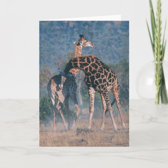 Joshua espia o cartão de nota (Frente)