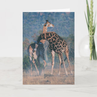 Joshua espia o cartão de nota