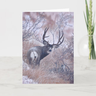 Joshua espia o cartão de nota