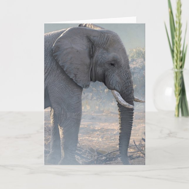 Joshua espia o cartão de nota (Frente)