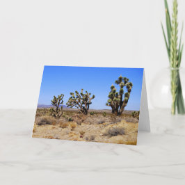 Joshua Trees, Deserto de Mojave, Cartão Saudável